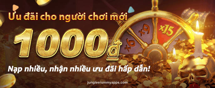 New Offers at Junglee Rummy
